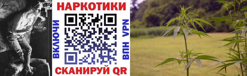 Цена Дербент Марихуана Экстази MEGA онион Мефедрон Гашиш АМФ A PVP Псилоцибиновые грибы
