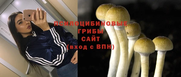 герыч Верхний Тагил