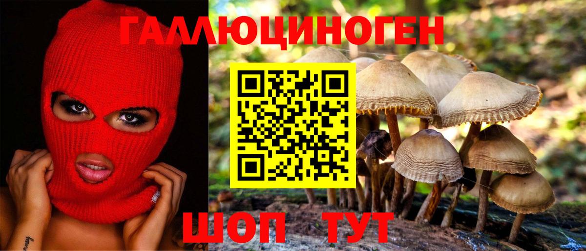 Псилоцибиновые грибы мухоморы Дербент