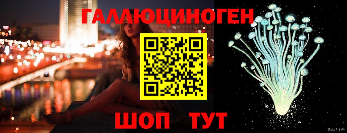 Дербент  Галлюциногенные грибы Psilocybine cubensis  Вход с VPN 