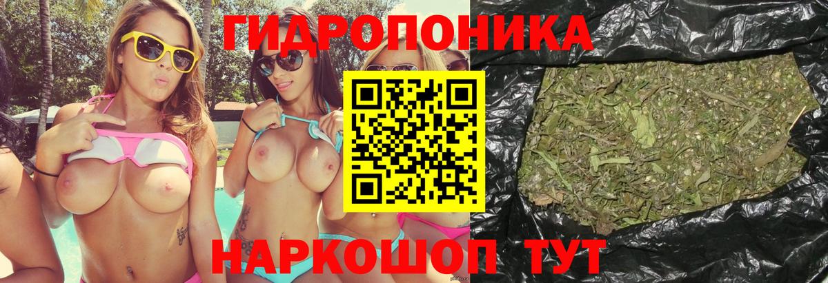 Канабис ГИДРОПОН Дербент