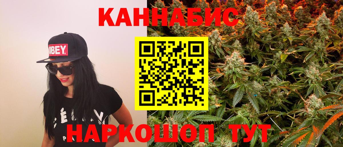 Бошки марихуана OG Kush Дербент